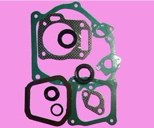 comp gasket