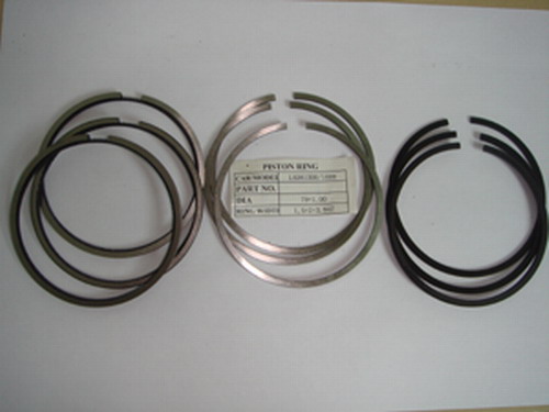 piston ring 